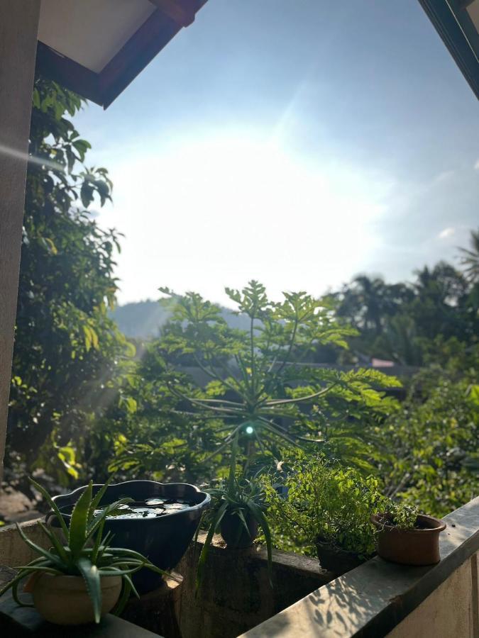 Rustic Mahaweli Lejlighed Kandy Eksteriør billede